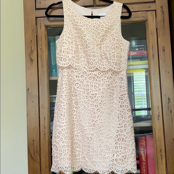 J.Crew Lace Dress, New without Tags Sz 4 - Picture 1 of 4